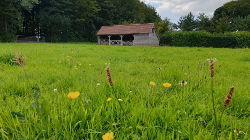 A wooden barn with a red roof stands at the edge of Cardiff natural burial meadow, surrounded by wildflowers and tall grass, bordered by trees and hedges under a partly cloudy sky.