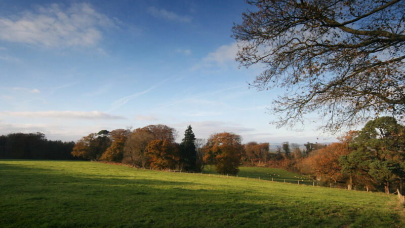 A wide grassy field under a blue sky with scattered clouds, bordered by trees with autumn-coloured leaves and a few bare branches in the foreground. Sunlight casts shadows across Cardiff natural burial meadow.