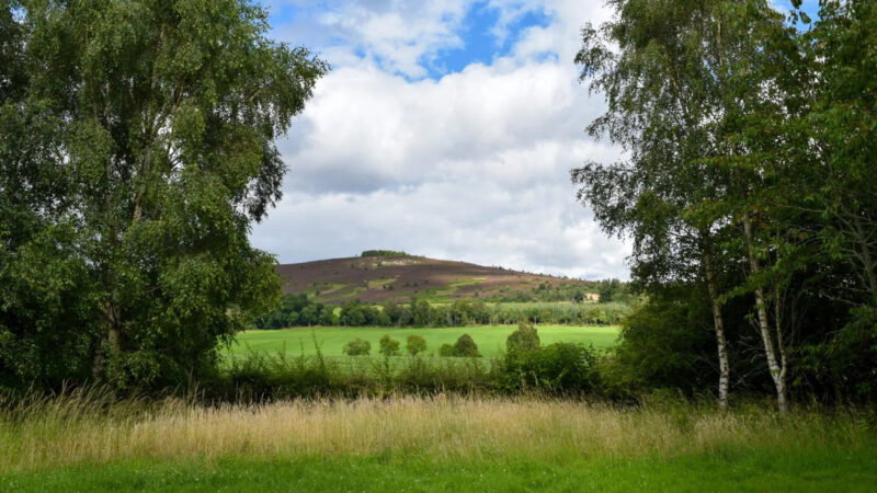 A grassy field with tall grass in the foreground, green trees framing the scene on both sides, and a gently sloping hill covered in grass and shrubs at Cothiemuir Hill natural burial ground beneath a partly cloudy blue sky in the background.