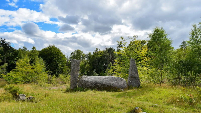 A large stone slab flanked by two upright stones stands in a grassy clearing at Cothiemuir Hill natural burial ground, surrounded by trees under a partly cloudy sky.