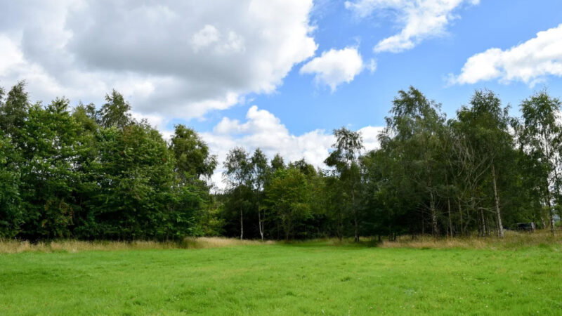 A green grassy field at Cothiemuir Hill natural burial ground is bordered by tall trees under a partly cloudy blue sky.