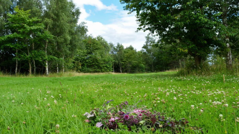 A colourful bouquet of wildflowers lies on lush green grass at Cothiemuir Hill natural burial ground, surrounded by clover and tall trees under a partly cloudy blue sky.