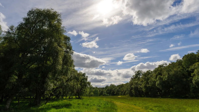 A green meadow at Delliefure natural burial ground Cairngorms, bordered by tall trees under a partly cloudy blue sky, with sunlight breaking through the clouds and casting shadows on the grass.