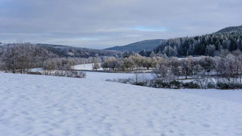 A snowy landscape with a blanket of snow covering hills, fields, and trees. Frosted trees line the midground near Delliefure natural burial ground, and forested Cairngorms hills rise in the distance under a cloudy sky.
