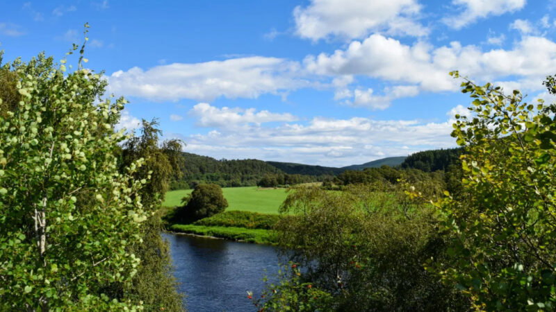 A scenic landscape featuring a river surrounded by lush green trees and fields, under a bright blue sky with scattered white clouds and distant rolling hills near Delliefure natural burial ground Cairngorms.
