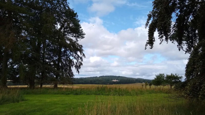 A scenic countryside view with tall trees framing a grassy field at Hundy Mundy Woodland Burial Ground, distant rolling hills, and a partly cloudy blue sky.