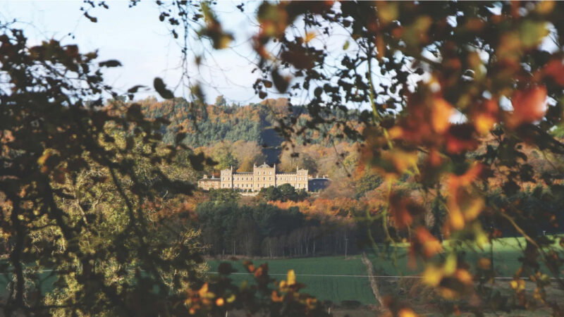 A large manor house is seen in the distance, partially obscured by autumn-coloured tree branches in the foreground near Hundy Mundy Woodland Burial Ground, surrounded by forest and fields under a blue sky.