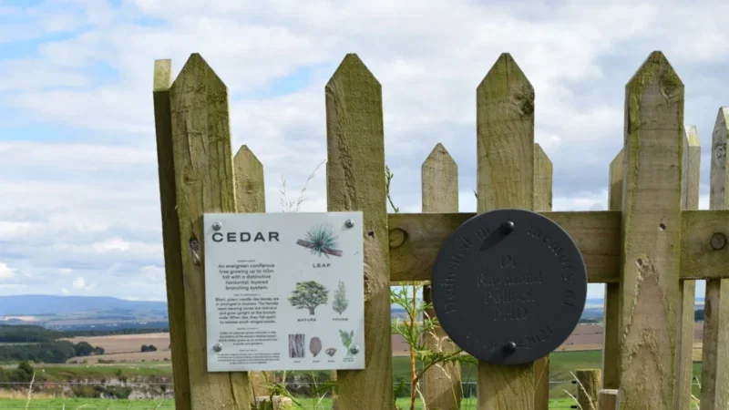 A wooden fence with a sign about cedar trees, showing leaf, bark, and mature tree illustrations—perfect for those considering Hundy Mundy woodland burial arrangements. A round black plaque is attached to the fence. Fields and hills are visible in the background under a cloudy sky.