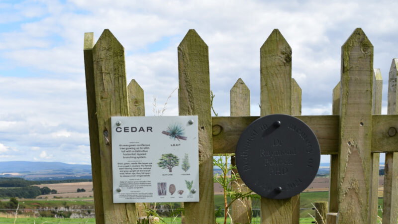 A wooden fence with a Cedar information sign and a black circular memorial plaque marks the site of Hundy Mundy woodland burial memorials. Rolling green fields and hills stretch under a partly cloudy sky in the background.