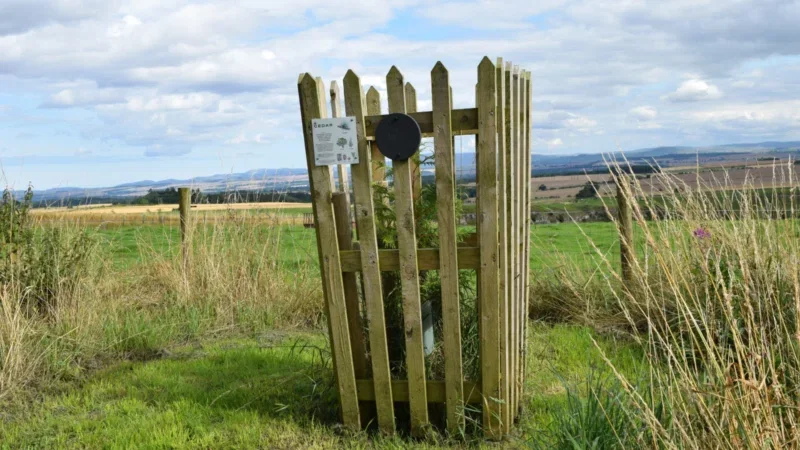 A young tree is surrounded by a wooden fence for protection, set in a grassy field with distant hills under a partly cloudy sky. A small sign and a black circle are attached to the fence, hinting at thoughtful Hundy Mundy woodland burial arrangements that honour both nature and remembrance.