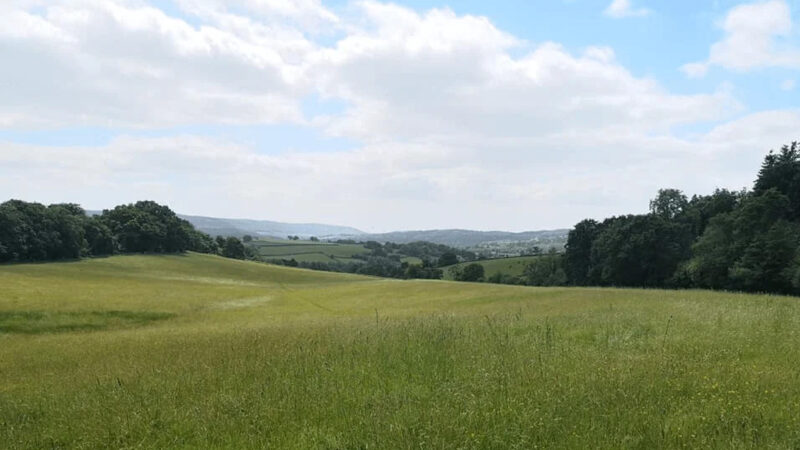 A wide, open meadow with green grass under a partly cloudy blue sky, bordered by trees and distant rolling hills—this tranquil landscape is reminiscent of the peaceful setting at About Usk natural burial ground.