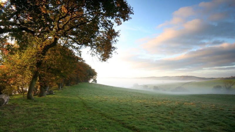 A grassy field in the Usk Natural Burial Meadow slopes gently down towards a misty valley, with trees lining the left side and a bright sky filled with clouds and soft sunlight overhead.