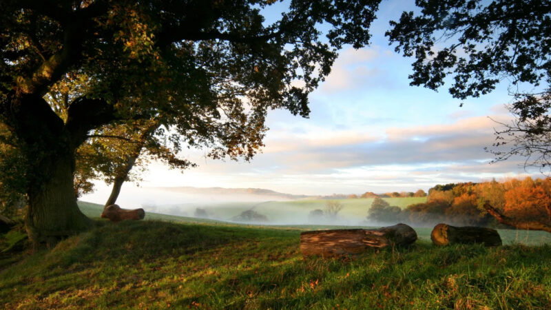 A scenic countryside landscape at Usk Natural Burial Meadow with mist hovering over rolling green hills, autumn trees with orange and yellow leaves, logs on the grassy ground, and a large tree with spreading branches under a partly cloudy sky.