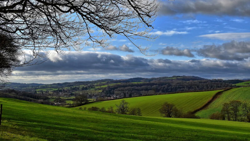 Rolling green hills and fields under a partly cloudy blue sky, with bare tree branches in the foreground and views stretching to distant woodland, farmland, and the tranquil Usk Natural burial meadow on the horizon.