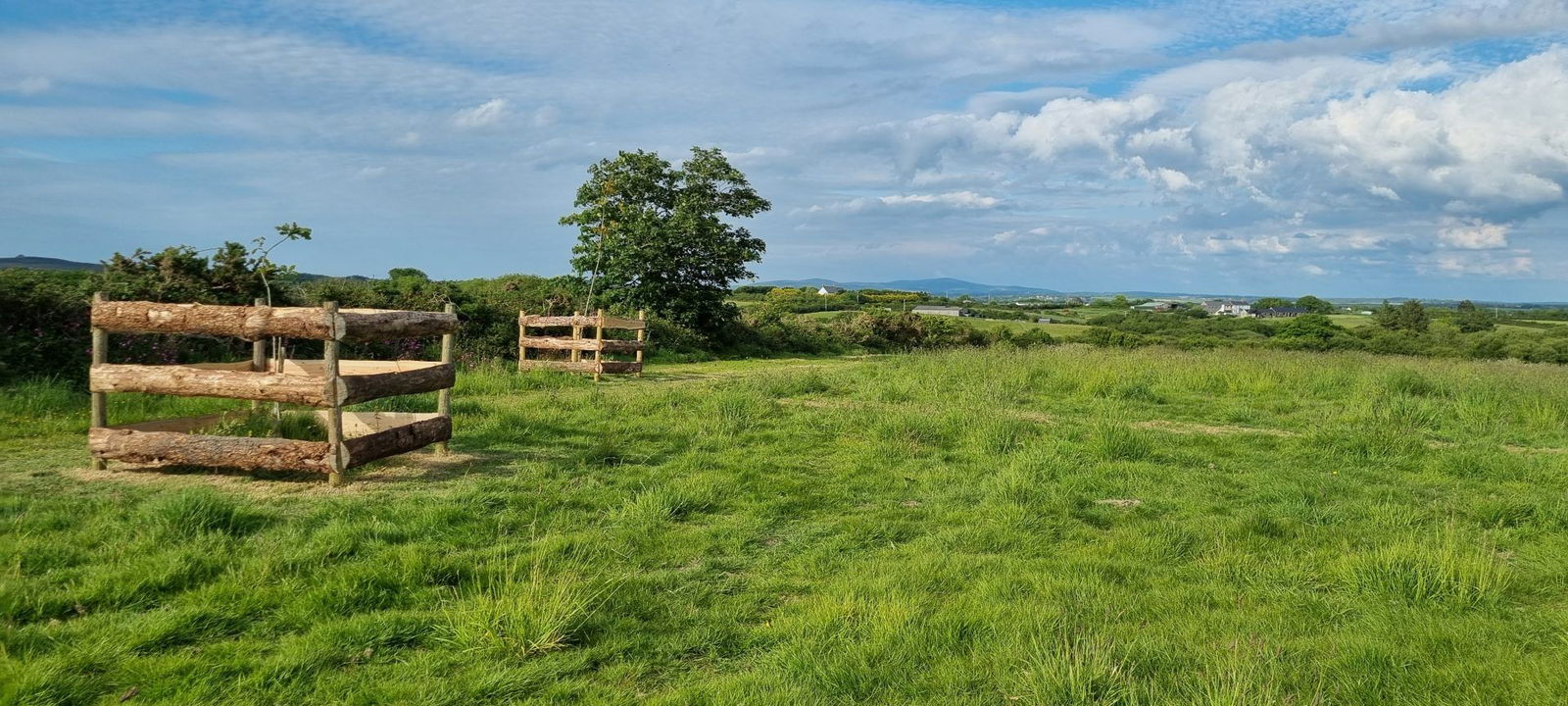 Memorial Trees at Pembrokeshire Natural Burials