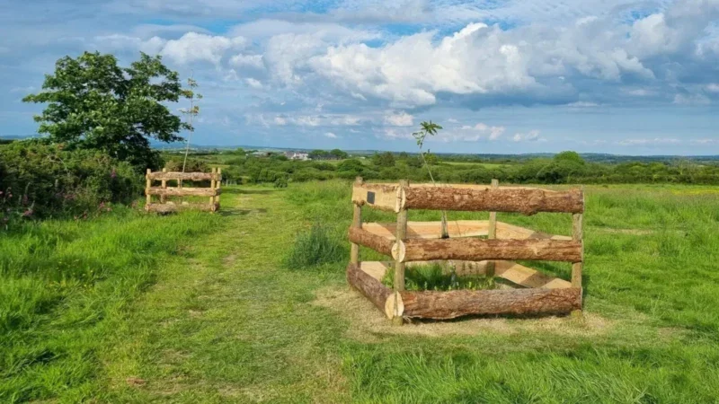 A grassy path runs through a field in the Arrangements Pembrokeshire natural burial meadow, with two young trees protected by wooden enclosures. Lush greenery, shrubs, and a partly cloudy sky appear in the background.