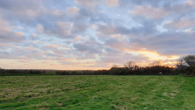 A grassy field at Pembrokeshire Natural Burial Meadow stretches under a sky filled with scattered clouds at sunset. The sun is partially hidden, casting a warm glow. A house is visible near the horizon on the right, with trees lining the background.