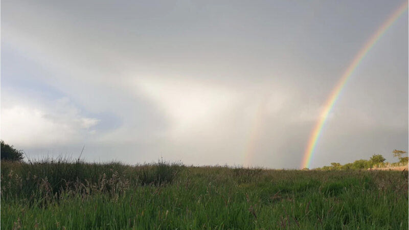 A grassy field under a cloudy sky in the Pembrokeshire Natural Burial Meadow, with a vivid rainbow and a faint second rainbow in the distance. Trees line the horizon on the right side of the image.