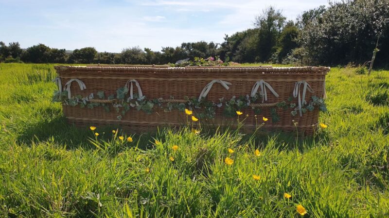 A wicker coffin from Arrangements Bath, decorated with greenery and white ribbons, rests in a sunlit meadow of tall grass and yellow wildflowers—an ideal setting for a natural burial beneath a blue sky and surrounded by trees.