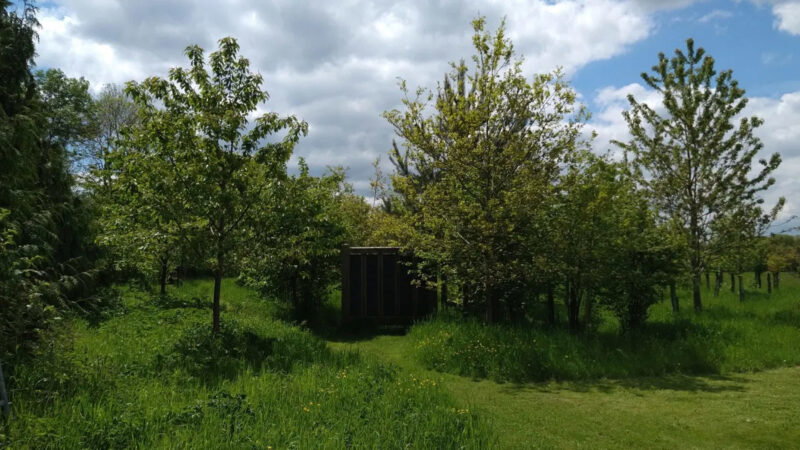 A small dark shed is partially hidden among green trees and tall grass at the Henley-on-Thames woodland burial ground, under a partly cloudy sky, with sunlight casting patches of light on the scene.