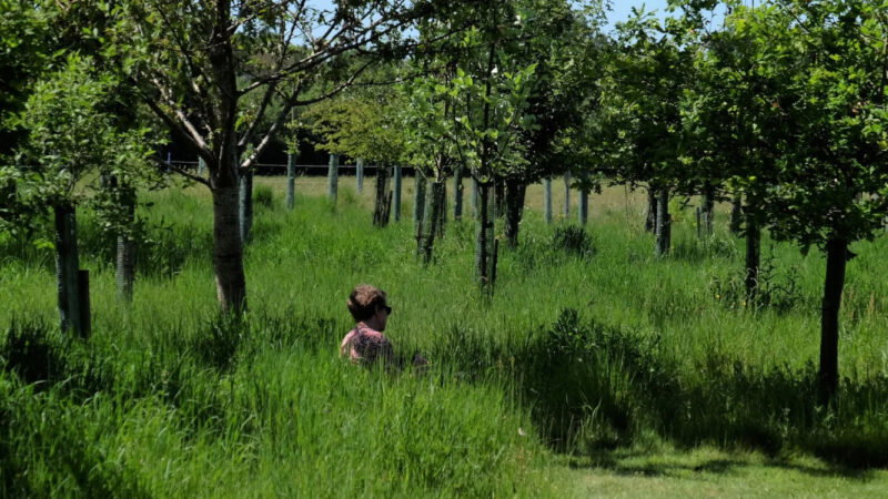 A person with short brown hair sits in tall grass beneath leafy trees at the Henley-on-Thames woodland burial ground, surrounded by lush greenery and dappled shadows in a sunlit orchard or park.