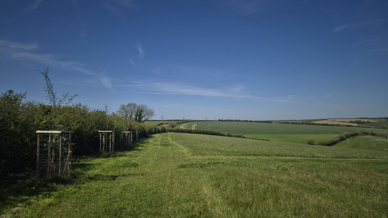 A grassy path runs through the green, rolling Dorset Downs countryside under a clear blue sky, bordered by hedges and wooden trellises on the left. Natural burial arrangements are nestled amid fields stretching out in the distance.