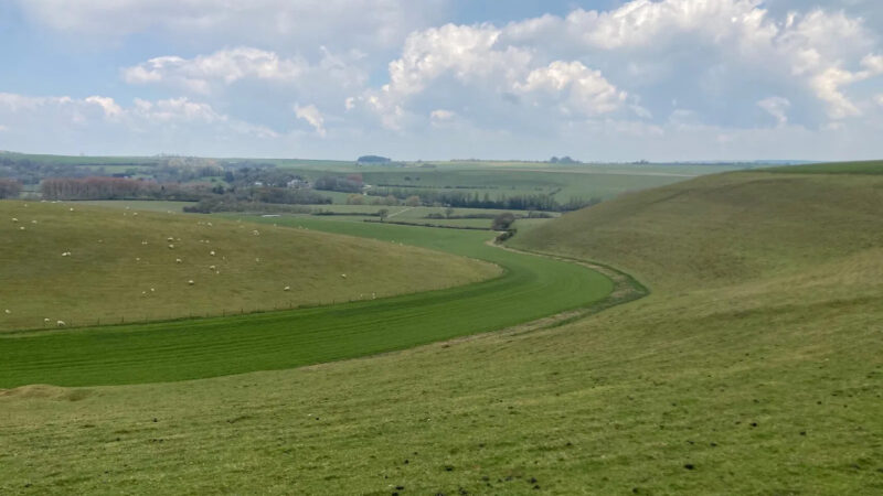A lush green valley with rolling hills and a winding strip of darker grass, scattered sheep grazing, and the peaceful Dorset Natural Burial Meadow near a distant village under a partly cloudy sky.
