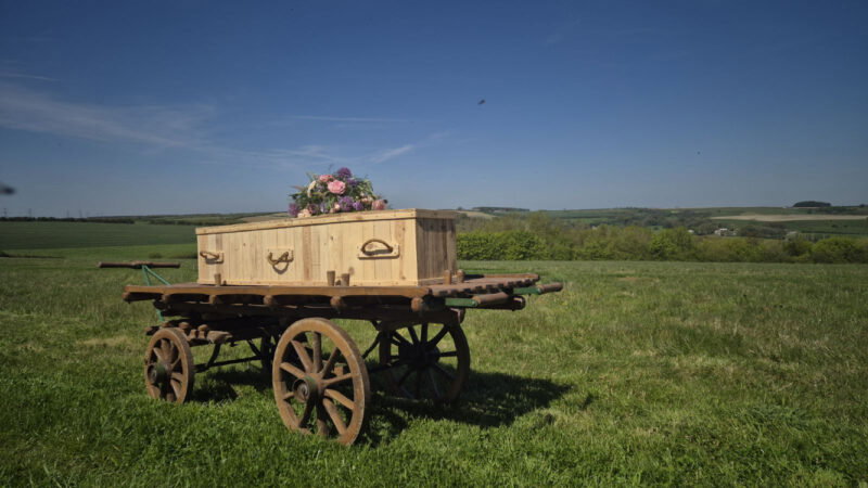 A wooden coffin adorned with pink and purple flowers sits atop an old wooden wagon in a grassy field at Dorset Natural Burial Meadow, with rolling hills and a clear blue sky in the background.