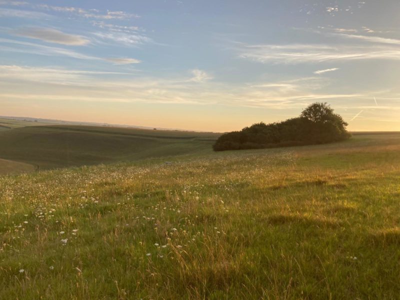 Dorset downs natural burial ground at dusk on a summer's evening overlooking the rolling hills