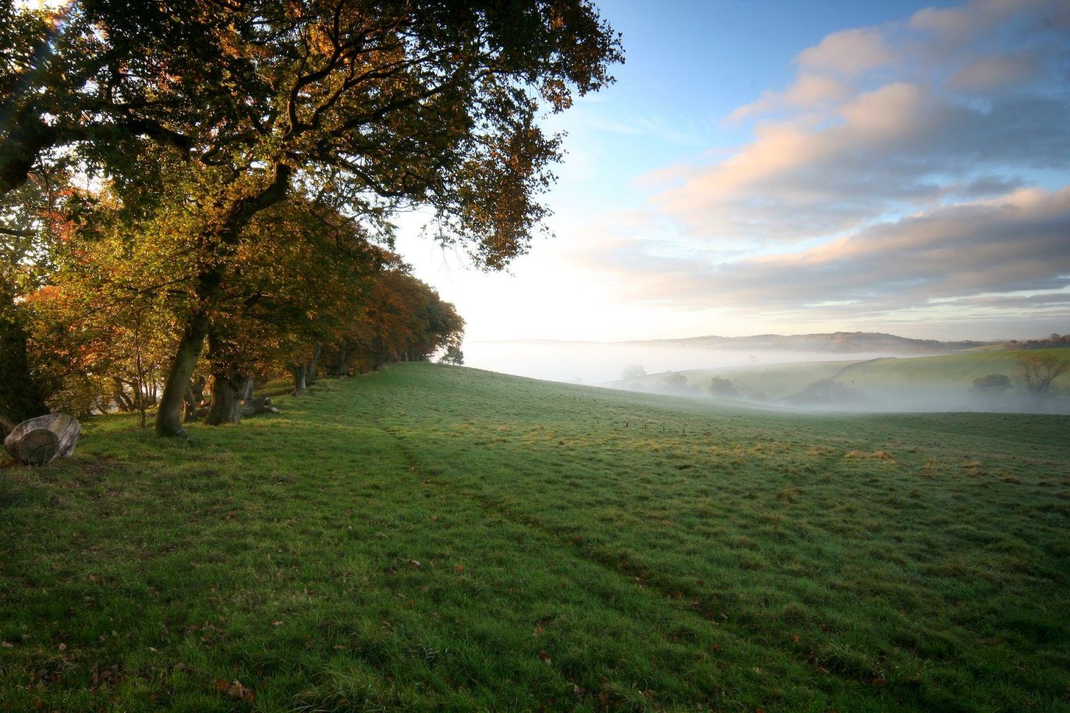 Natural Burial Ground Locations - Leedam Natural Burial