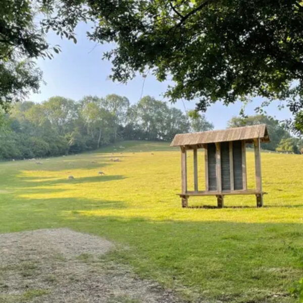 A grassy hillside with scattered sheep grazing in the distance. In the foreground, there is a large wooden information board under the shade of trees. The sky is clear and blue.