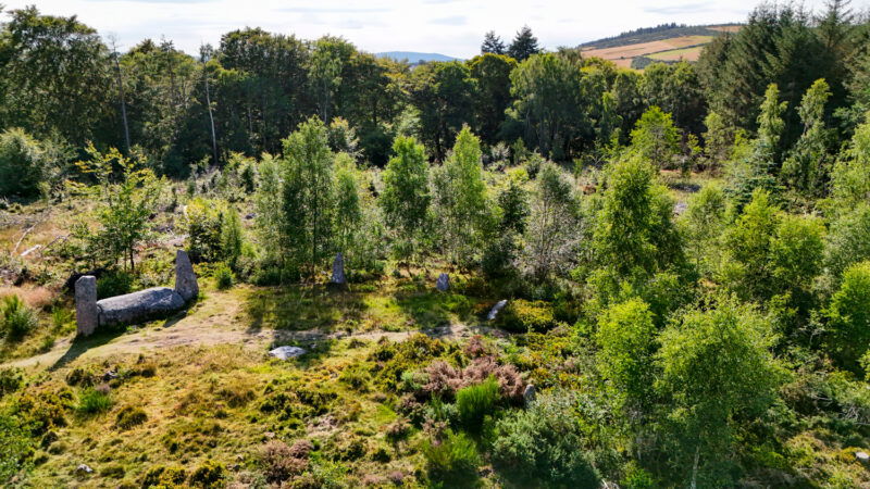 A lush, green forest clearing with scattered rocks, two large upright stones, and rolling hills in the background under a partly cloudy sky.