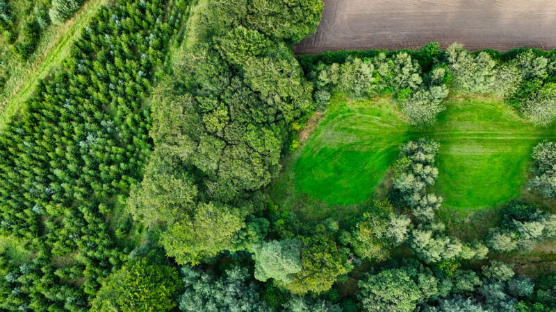 Aerial view of a landscape showing dense green forest, bright grassy areas, a bordered crop field, and a dirt path dividing the different sections.