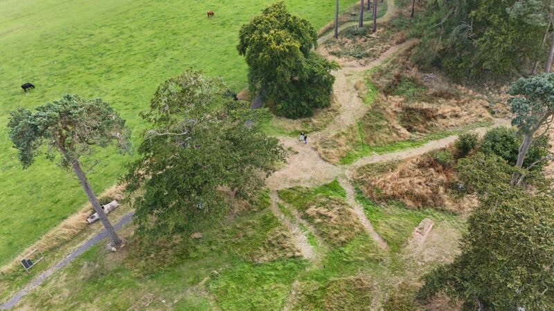Aerial view of intersecting dirt paths winding through a grassy area at Natural burial grounds Leedam, with several large trees, a few benches, and two cows grazing in the open field.
