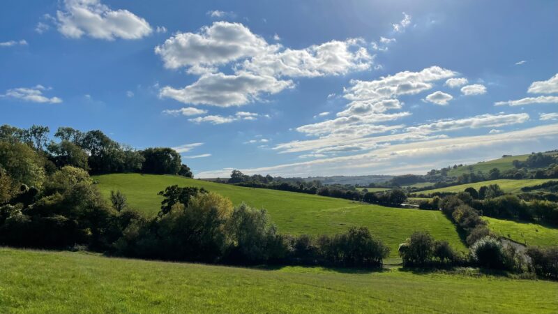 A scenic countryside landscape with rolling green hills, scattered trees, and bushes under a blue sky filled with fluffy white clouds on a sunny day.