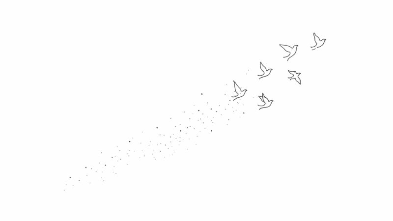 Minimalist line drawing of five birds flying upward to the right, leaving a trail of small dots behind them—evoking the gentle scattering ashes and symbolizing motion and freedom against a white background.