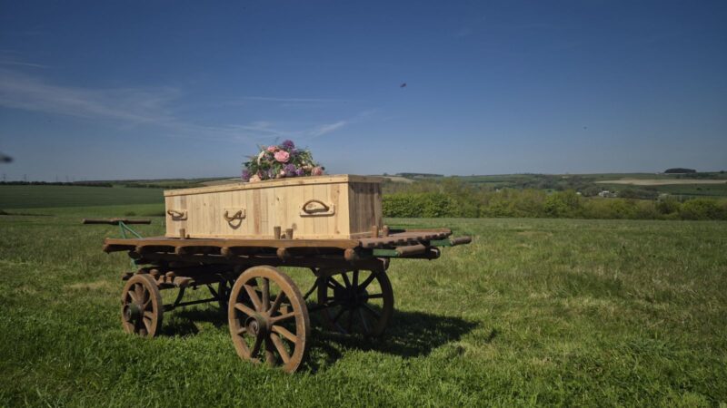 A wooden coffin adorned with flowers rests on an old wooden cart in a grassy field under a clear blue sky, with rolling green hills in the background.