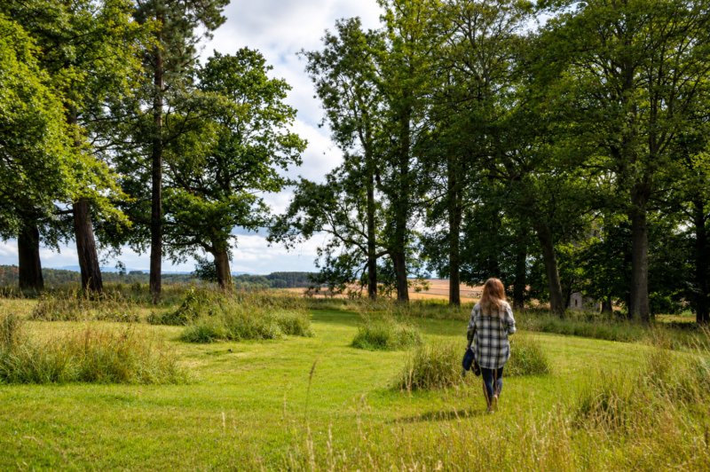 A person in a checked shirt walks through a grassy, tree-filled park on a sunny day, perhaps reflecting on memories after an ashes cremation, heading towards open fields in the distance.