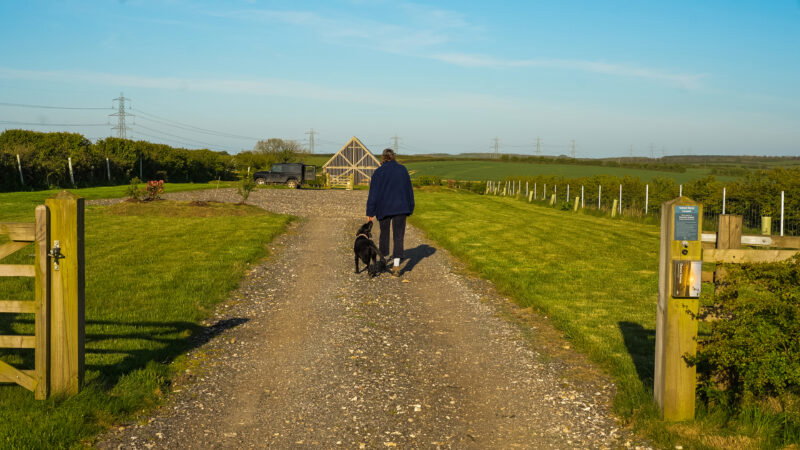 A person walks a black dog on a gravel path between grassy fields—where the long grass hints at why natural burial grounds have long grass—under a clear blue sky, passing wooden gates and distant green hills.