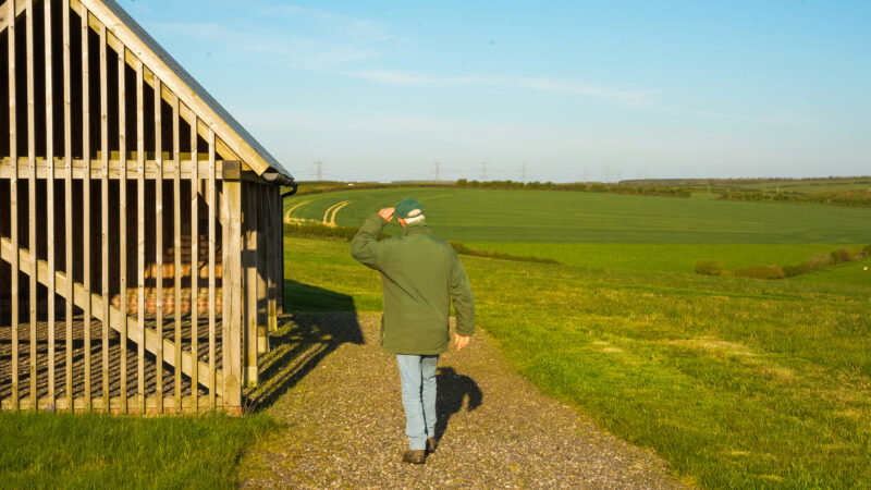 A person in a green jacket and cap walks on a gravel path beside a wooden shed, surrounded by green fields with long grass—just like why natural burial grounds have long grass—under a clear blue sky.