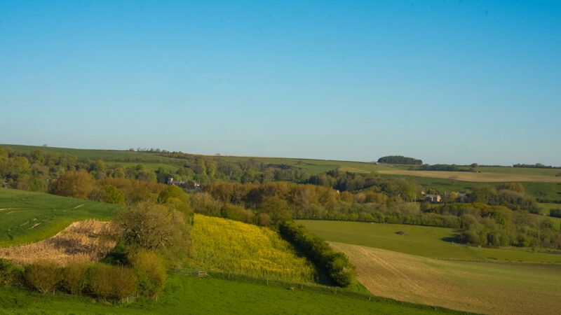 Rolling green fields and patches of trees under a clear blue sky, with a few scattered houses visible in the distance—much like why natural burial grounds have long grass, nature is allowed to flourish undisturbed.