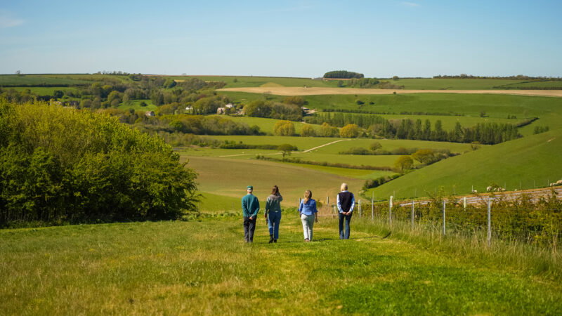 Four people walk along a grassy path through rolling green countryside, where long grass shows why natural burial grounds have untouched landscapes, with trees, fields, and blue sky in the background.