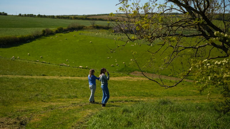 Two children stand in a green field, both looking towards the distance. One uses binoculars. Sheep graze near a tree with budding leaves, and long grass sways, hinting at why natural burial grounds have long grass.